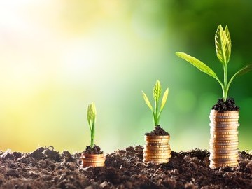 Paying for Growth & Balancing Expectations
