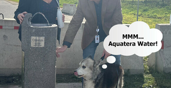 New Drinking Water Fountain Installed at South Bear Creek